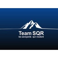 TEAM SQR logo - Similar company to Origami Architectes
