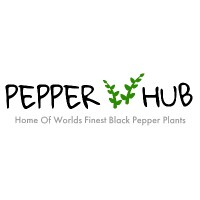 PepperHub logo - Similar company to Wishtree Infosolution