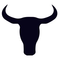 Steer Marketing Inc. logo - Similar company to Advanced Performance Management Inc.