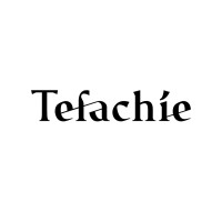 Tefachie logo - Similar company to Orient Constructions