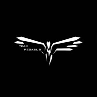 Team Pegasus | The Aerodynamics Club logo - Similar company to Team Rahas