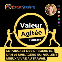 VALEUR AGITÉE🎙️ logo - Similar company to Vizenet
