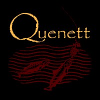 Quenett logo - Similar company to Quenet Communication Systems Installation Llc