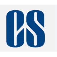 Dipika S Shetty & Co logo - Similar company to Challenge Advisors Llp
