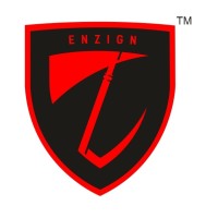 Enzign Informatics Pvt Ltd logo - Similar company to Dli-It Systems Group- Gcc