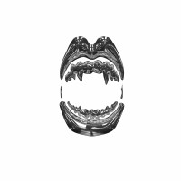 Les Banshee logo - Similar company to Recyclab