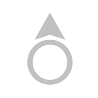 Northbound Global logo - Similar company to Project Perspective