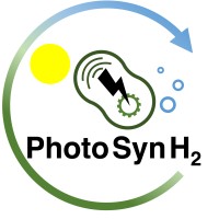PhotoSynH2 consortium logo - Similar company to Ohpera