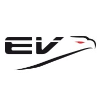 Eagle Vizion logo - Similar company to The Bridge Collaboration