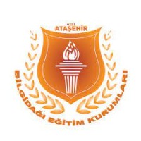 Bilgidağı Koleji logo - Similar company to Tunafen Koleji
