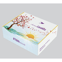 ChemoCareKits, LLC logo - Similar company to Cv Skinlabs