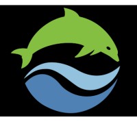 Lead Dolphin (Acquired 2018)