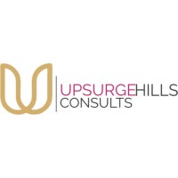 Upsurge Hills Consults Limited logo - Similar company to The Stackfill Company