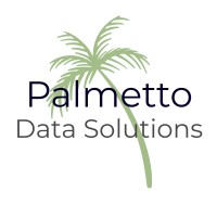 Palmetto Data Solutions LLC logo - Similar company to Data Communication Solutions Inc. (Dcs)