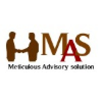 Meticulous Advisory Solutions (P) Ltd.
