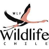 WLF WILDLIFE CHILE logo - Similar company to Valvet