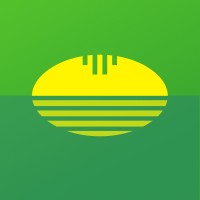Sunshine Footy