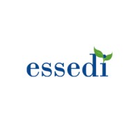 EsseDi IT Consulting logo - Similar company to Bluefish - Diseño Web Y Branding