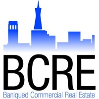 Baniqued Commercial Real Estate logo - Similar company to Professional Realty Group