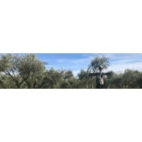 Lieberty Farm logo - Similar company to Kermes Ibérico Farm