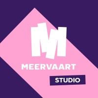 Meervaart Studio logo - Similar company to Aurora Network Student Council