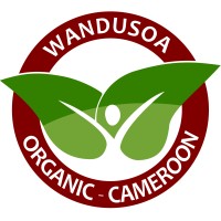 Wandusoa logo - Similar company to Fanyatu