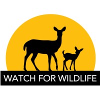 Watch For Wildlife