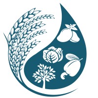 គម្រោងគជ់ - PEARL Project logo - Similar company to Testing Technology Service Ltd.