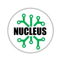 Nucleus Asset Management logo - Similar company to Solid Projects