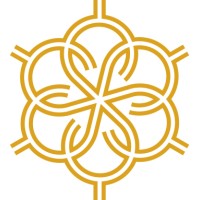 Executive Financial Insights