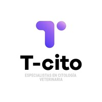 T-Cito logo - Similar company to Sawa Mara - The Masai Ecolodge By Adcam Ong