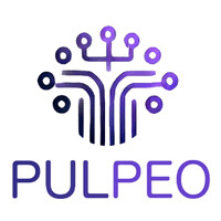 PulPeo Innovation AI logo - Similar company to Zero Bullshit