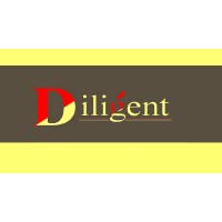 Diligent VFX Studio logo - Similar company to 3D Vfx Studio