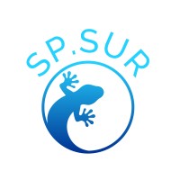 SPSUR Assurances logo - Similar company to Prestige Immo Rdc