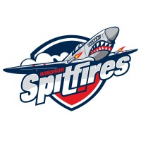 Windsor Spitfires logo - Similar company to Sarnia Sting