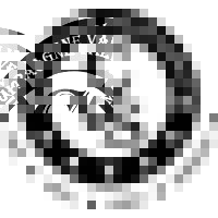 Champagne Valve Supply logo - Similar company to Control Plus Inc.