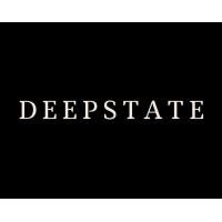 DEEPSTATE LIMITED logo - Similar company to Future Proof Advisory