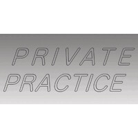 Private Practice Studio logo - Similar company to Voxel Magic