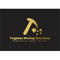 Pegasus Mining Solutions logo - Similar company to Nko Capital