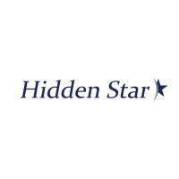 Hidden Star logo - Similar company to Amcom Solutions, Inc.