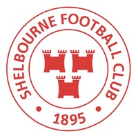 Shelbourne Football Club logo - Similar company to Football Association Of Ireland