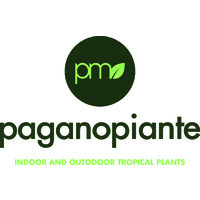 Paganopiante logo - Similar company to Auricchio & Sons