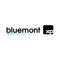 Bluemont Assessoria de Investimentos logo - Similar company to Dkmbank