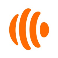 Borneo logo - Similar company to Innovia Solutions