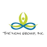 The Now Group Fitness Company logo - Similar company to Pigi Fitness Company™