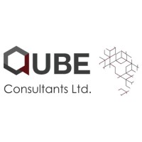 QUBE Consultants Ltd. logo - Similar company to Real-Const Ke (Design & Build Solutions)