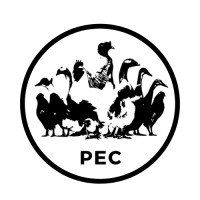 Poultry Extension Collaborative logo - Similar company to Msc In International Animal Welfare, Ethics And Law (Iawel)