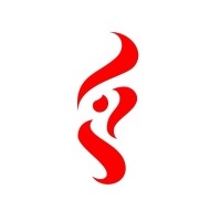Proyecta Industrial de México SA de CV logo - Similar company to Idinsa