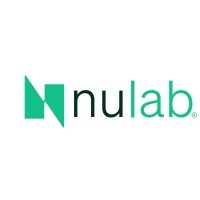Nulab Consulting logo - Similar company to Dlb Consulting