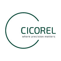 Cicorel Ltd logo - Similar company to Technoset Ltd.